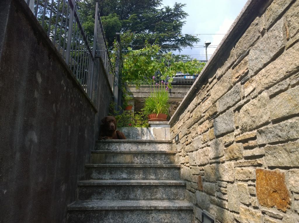 Venanzio! Apartment Pianello Del Lario ภายนอก รูปภาพ