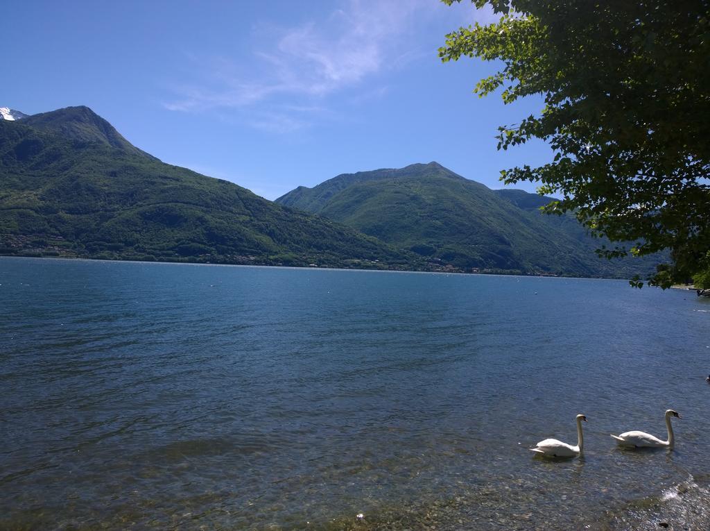 Venanzio! Apartment Pianello Del Lario ภายนอก รูปภาพ